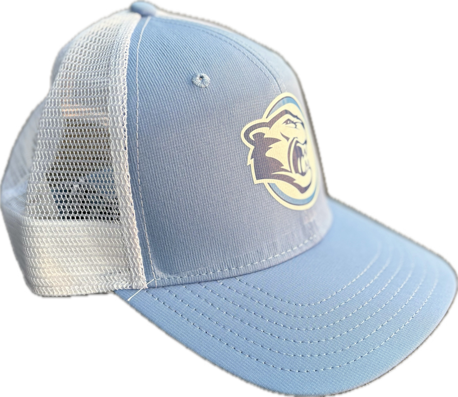Vineyard Vines Hat (Cross or Wildcat)